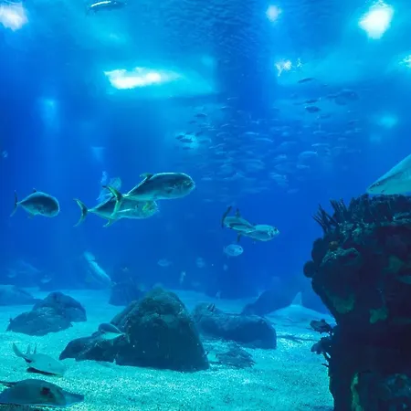 Apartamento Jardin D'olisipo - Centre Lisboa