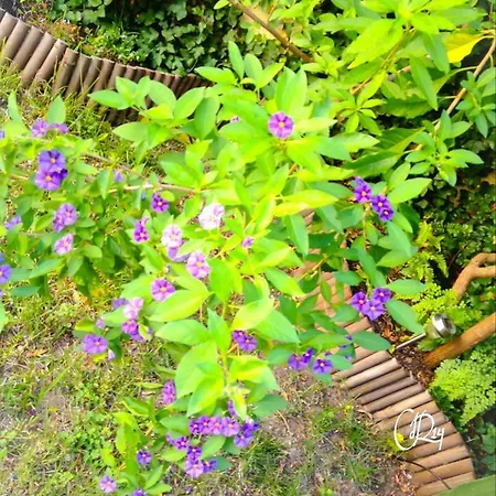 Jardin D'olisipo - Centre * Lizbona